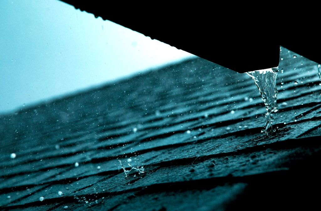 Roof Leaks & Water Damage: Tips to Prepare Your Home for Mold Remediation