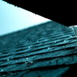 Roof Leaks & Water Damage: Tips to Prepare Your Home for Mold Remediation